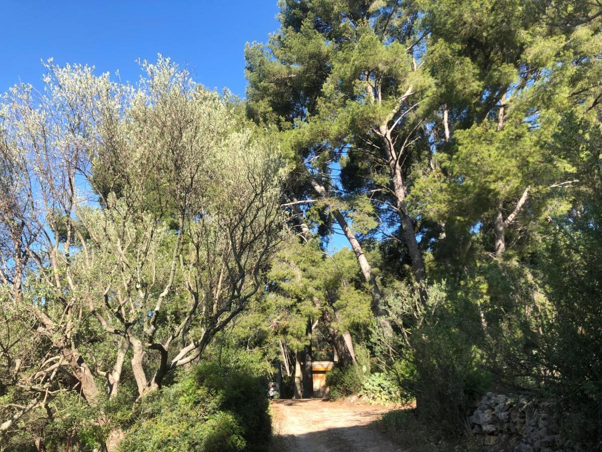 דירות לה קסטלה Les Pins מראה חיצוני תמונה